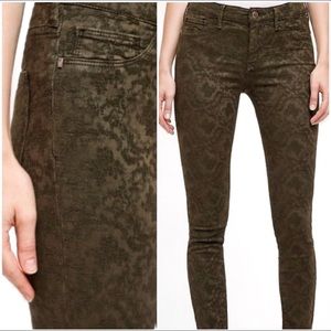 NEW Pilcro & The Letterpress | Green Pattern Pants